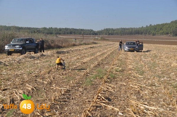 7amam lud monir 908 (17).JPG